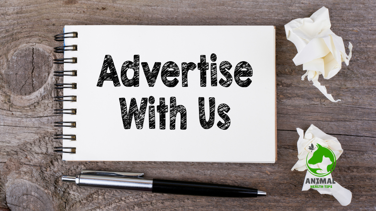 Advertise with us