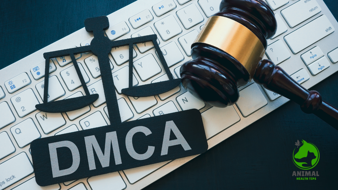 DMCA