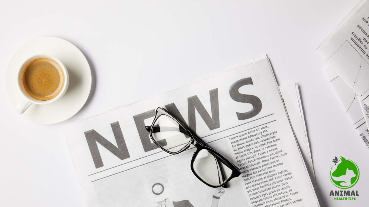 News