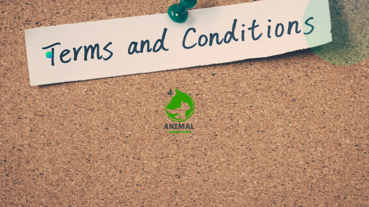 Terms and conditions
