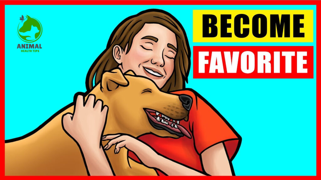 How Do Dogs Choose Their Favorite Person?