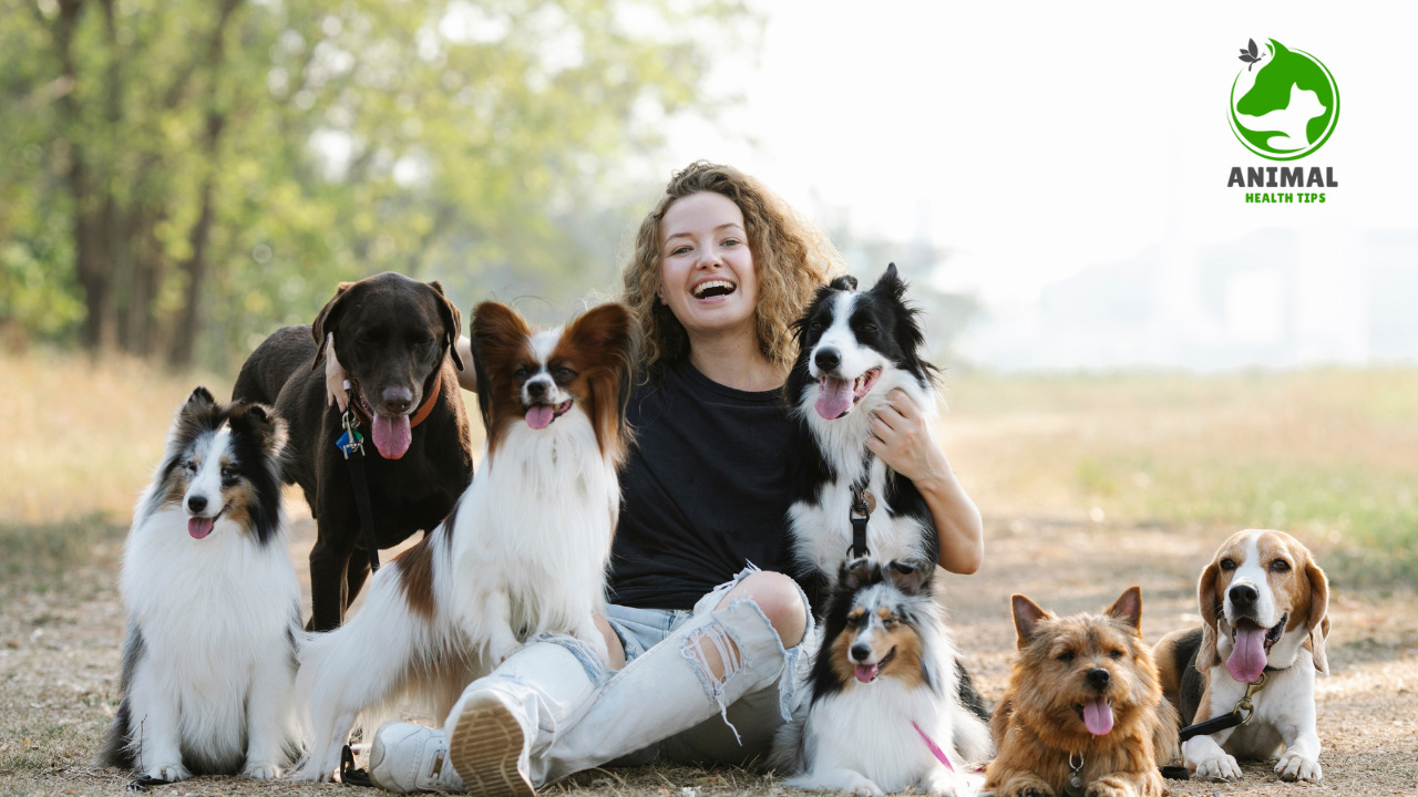 How Do You Become a Dog’s Favorite Person