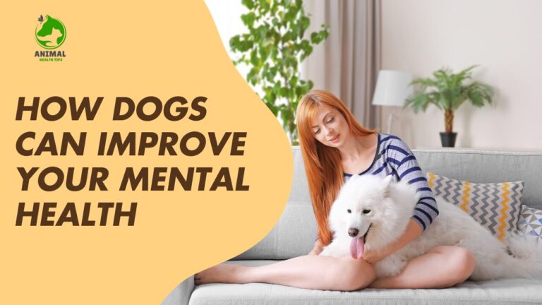 How Dogs Can Improve Your Mental Health and Well-Being