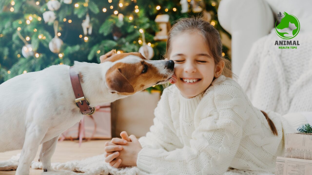 Why Do Dogs Lick You?