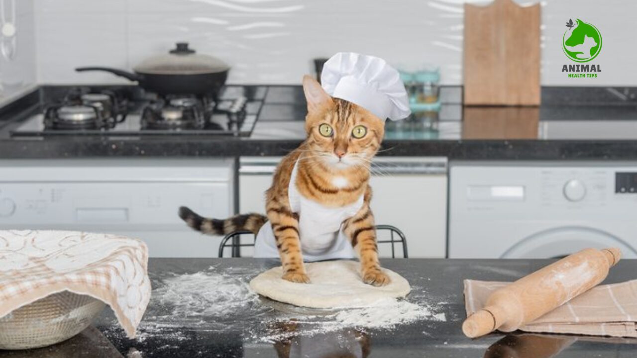 Why do cats make biscuits