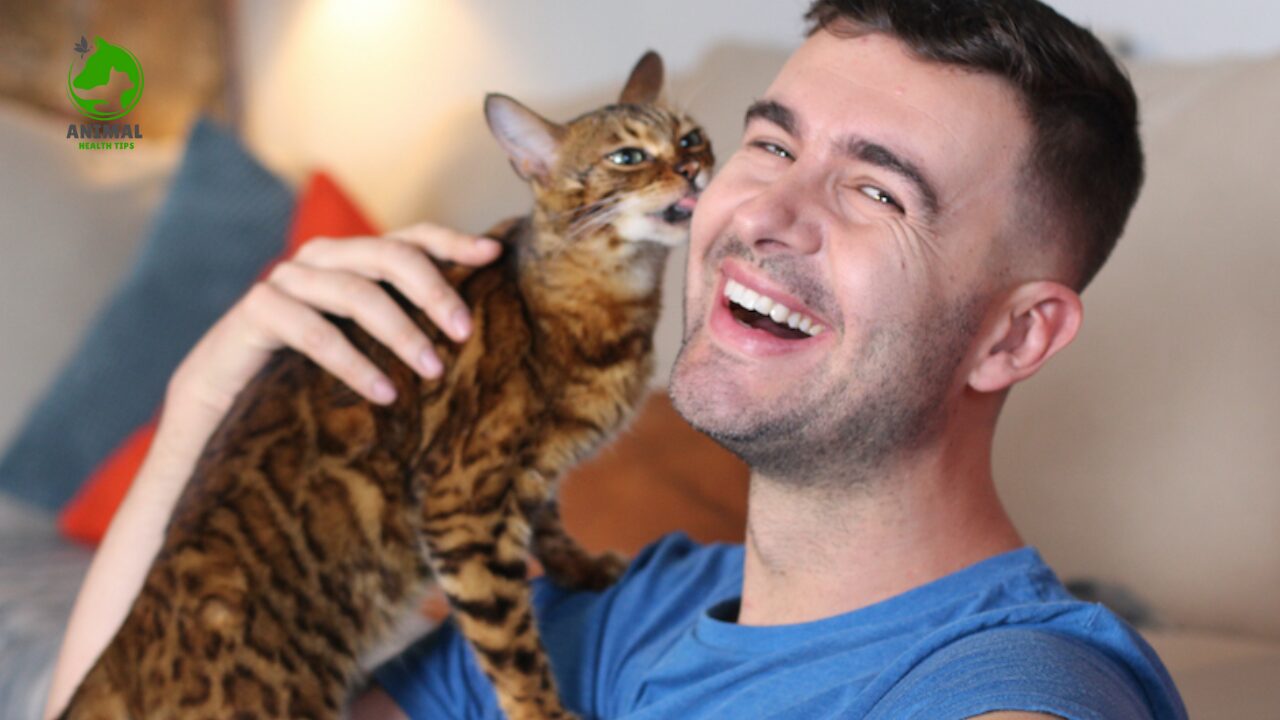 Why Does My Cat Lick Me