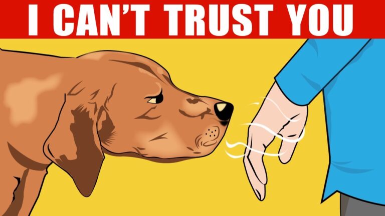 How Dogs Recognize Bad People