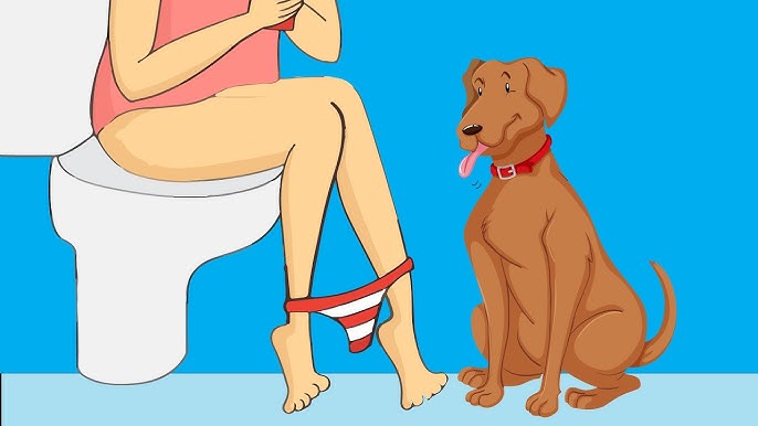 Why Does Your Dog Follow You Everywhere?