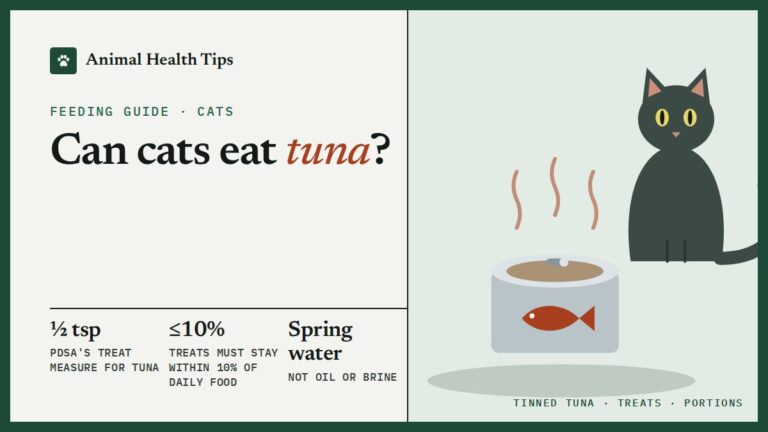 Can Cats Eat Tuna? How Much Is Safe and What to Avoid