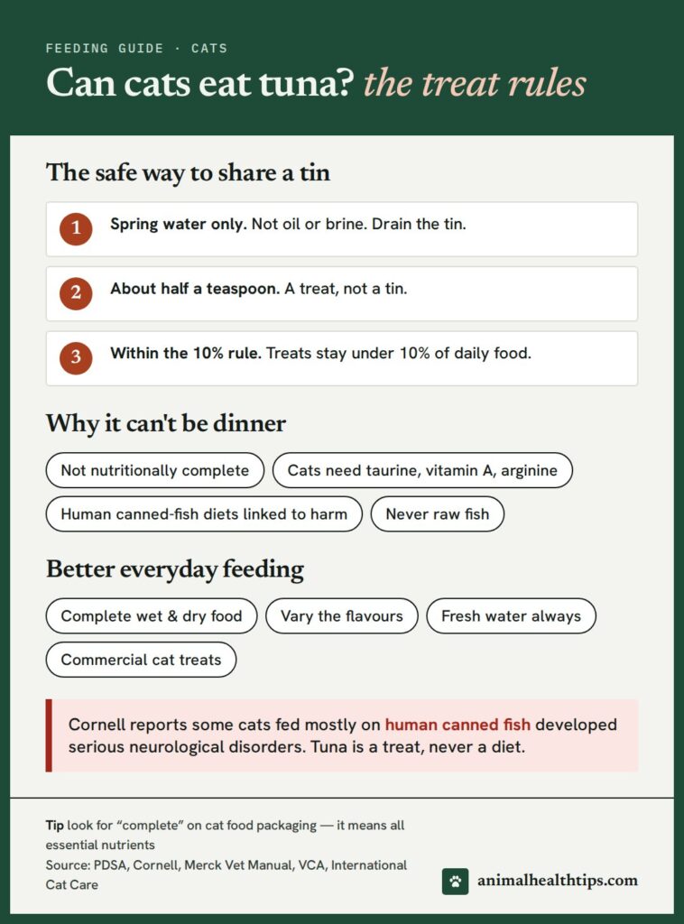 Can cats eat tuna? The treat rules: spring water only, about half a teaspoon, within the 10% treat allowance, and why tuna cannot replace complete cat food