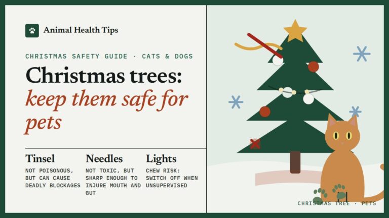 Christmas Tree Safety for Cats and Dogs