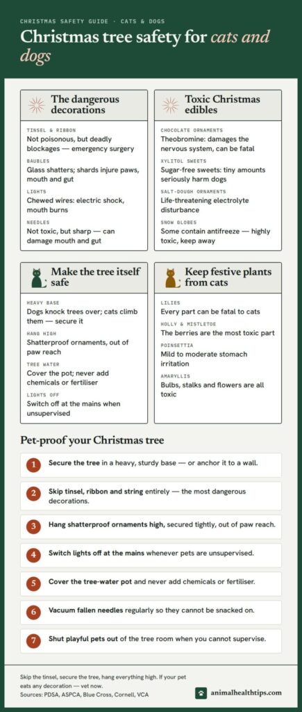 Christmas tree safety infographic: dangerous decorations, toxic edibles and plants, and pet-proofing steps