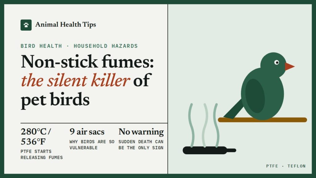 Non-Stick Pan Fumes and Pet Birds: Why Overheated Teflon Can Kill