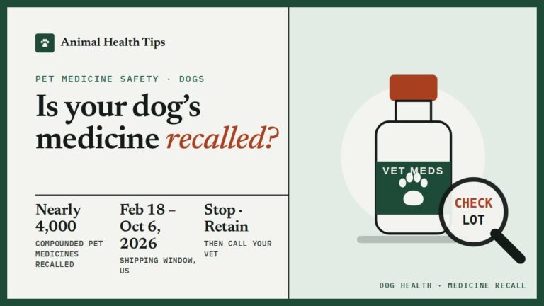 Pet Medication Recall: What Dog Owners Need to Check and Do